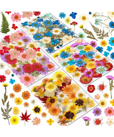 Real Dried Pressed Flowers for Resin  Natural Dry Flowers Leaves Bulk Herbs Kit for DIY Scrapbooking Stamping Supplies Epoxy Resin Jewelry Molds Candle Soap Making Nails D cor Art Crafts 150 Pcs
