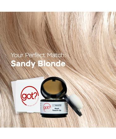 Got? Roots Sandy Blonde Root Touch Up Hair Color & Brow Filler - Temporary Gray Hair Cover Up Powder - 0.14 OZ - Buy Online on GoSupps.com