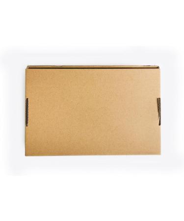 10Pcs Heavy Duty Stainless Steel Toenail Clippers for Thick & Ingrown Nails - Professional Pedicure Tool for Men, Women, Seniors - Buy Online on GoSupps.com