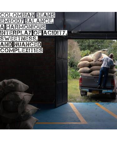 Stasis Specialty Coffee Colombian Arabica Coffee Beans 1 x 500g freshly roasted - rich and full-bodied medium roast captivating South American flavours - Buy Online on GoSupps.com