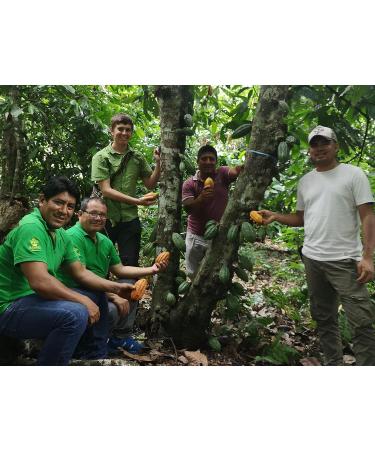 Original Beans Esmeraldas Vegan 50% Chocolate Bar - 70g | Organic Ecuadorian Treat with Gianduja & Barley Malt - CH-BIO-006 - Buy Online on GoSupps.com