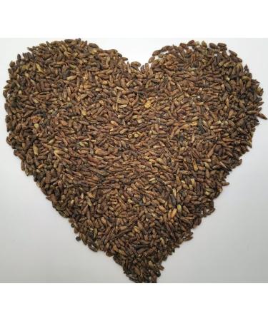 Krauterino24 Krauterino24 - Total birch buds quantity: 100 g