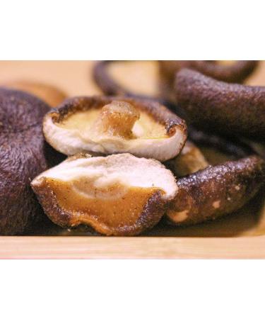 MushGarden Shiitake Mushroom Chips - Crispy & Crunchy Superfood Snack, Vegan & Non-GMO, All Natural with No Artificial Flavors or Preservatives - Low Calorie Wasabi Flavor (Pack of 8) - Buy Online on GoSupps.com