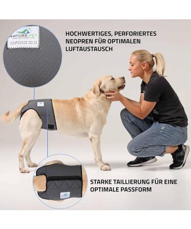 Sailing Trousers for Dogs 2.0 - High-Quality Neoprene Diapers for Male Dogs (XS Blue) | Optimal Air Exchange & Comfort - Buy Online on GoSupps.com