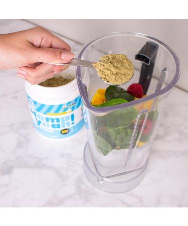 Manitoba Harvest Hemp Yeah Vanilla Protein Powder 454 GR - Buy Online on GoSupps.com