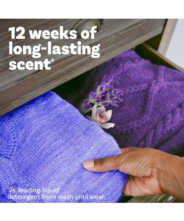 Downy Infusions In-Wash Laundry Scent Booster Beads - CALM Soothing Lavender & Vanilla Bean - 30.1 oz | International Shipping - Buy Online on GoSupps.com