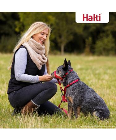 Halti Head Harness for Small Dogs - Prevent Pulling on Leash Adjustable Lightweight with Padded Nose Strap | Size 1 Red - Buy Online on GoSupps.com