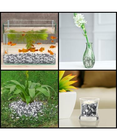 Buy Belle Vous White & Gray Decorative Stones (3.6 kg) - Perfect for Vases Aquariums Landscaping & Garden Decor - Buy Online on GoSupps.com