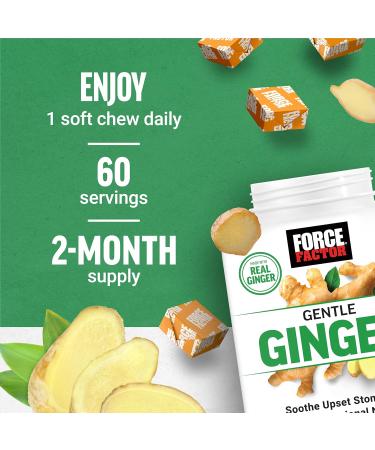 Force Factor Gentle Ginger Chews for Nausea Relief, Motion Sickness, and Morning Sickness, Ginger Supplement with Vitamin B6 for Digestive Support, Non-GMO, Honey-Lemon Ginger Flavor, 60 Soft Chews - Buy Online on GoSupps.com