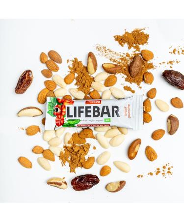 Lifefood Lifebar Energy Seal - Vegan Sports Bar Organic Gluten-Free Lactose-Free No Added Sugar - 15 Pack (Brazil Guarana) - Healthy Snack for Active Lifestyle - Buy Online on GoSupps.com