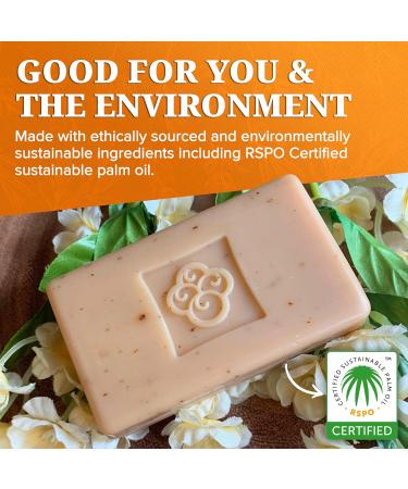 Sea Berry Therapy Sea Buckthorn Soap Cleansing Face & Body Bar with Citrus Scent (3-Pack) Moisturizes Skin Reduces Redness and Blemishes and Calms Sensitive Skin - Buy Online on GoSupps.com