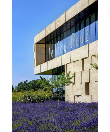 LE ROY REN Fine Grocery - Assortment of small Calissons d'Aix Harlequins with raspberry fig cocoa and hazelnut orange and - Buy Online on GoSupps.com