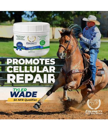 Equinety XL Horse Supplement - Joint & Hoof Support Powder - 21.2 OZ - Buy Online on GoSupps.com