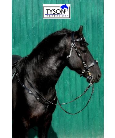 Jose Breastplate Show | Portuguese Spanish Leather Black Brown | Tysons VB WB XF XXF Calfblood - Buy Online on GoSupps.com