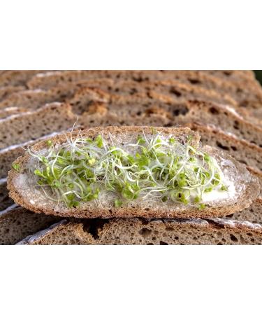 Bio Spelled Germ Bread Baking Mix - 750g | Organic & Lab-Tested Perfect for 2-3 Loaves | International Shipping Available - Buy Online on GoSupps.com