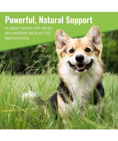 Canine Matrix Skin & Coat Mushroom Powder 7.1 oz | Natural Pet Supplement for Healthy Fur - Buy Online on GoSupps.com