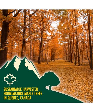 Pure Canadian Maple Syrup 1L - Grade A Dark with Caramel Taste - Ideal for Pancakes & Baking - 1.32kg - Buy Online on GoSupps.com