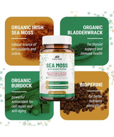 Organic Sea Moss Capsules with Bladderwrack & Burdock for Thyroid Support - Enhanced with Bioperine for Max Absorption | Detox & Cleanse Supplement - Buy Online on GoSupps.com