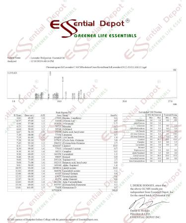 Bulgarian Lavender Essential Oil - 4 oz | GC/MS Tested | Skin Safe | Amber Glass Bottle | International Shipping - Buy Online on GoSupps.com