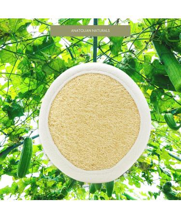  Gedikum Anatolian Naturals Original Turkish Laurel Soap 80% Laurel Oil 20% Genuine Turkish Olive Oil with Laurel & Olive + 160g Vegan Handmade - Buy Online on GoSupps.com