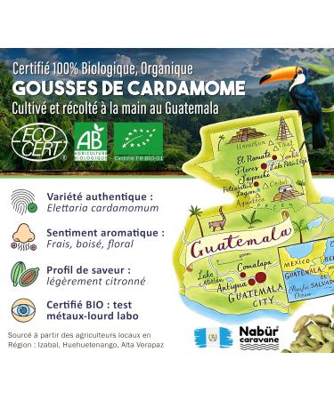 100 gr Cardamome en Gousse BIO Cardamome Enti re Puissant Riche Caf Chai Masala - NAB R - Buy Online on GoSupps.com