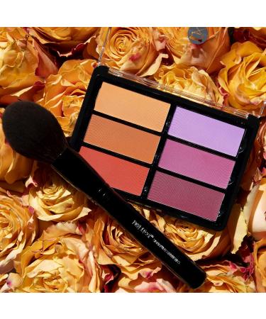 Blush Palette in Orange and Violet - Shop Internationally for Stunning Color - Buy Online on GoSupps.com