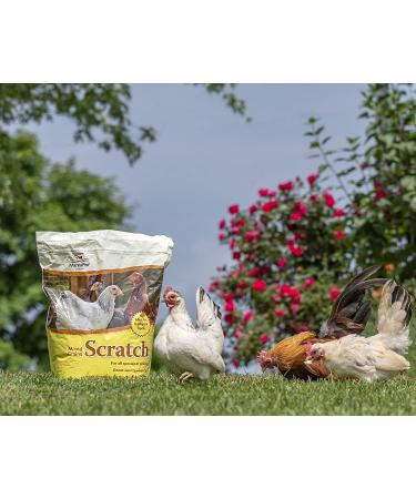 Buy Manna Pro Ultimate Scratch Chicken Feed - Nutrient Rich Treats, 10 LB - Buy Online on GoSupps.com