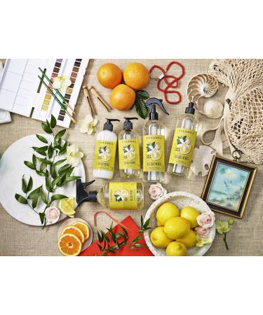 Caldrea Hand Soap Refill Aloe Vera Gel Olive Oil and Essential Oils to Cleanse and Condition Sea Salt Neroli Scent 32 oz - Buy Online on GoSupps.com