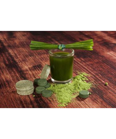  Energy Feelings Energy Feelings - Sprayed green - Wheat grass - 1000g - Buy Online on GoSupps.com