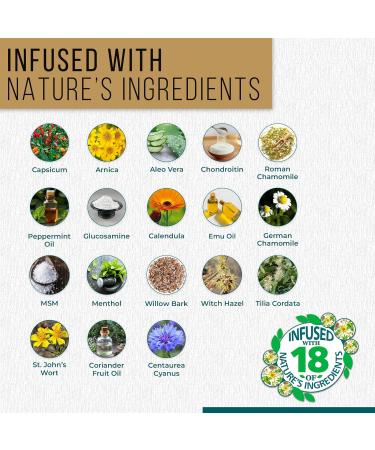 Real Time Pain Relief MAXX 4oz Tube | 18 Natural Ingredients: Arnica Menthol & Peppermint | Maximum Strength Muscle Pain Relief Lotion for Arthritis Hands Ankles Back Shoulders Knees & Joints 4 Fl Oz - Buy Online on GoSupps.com