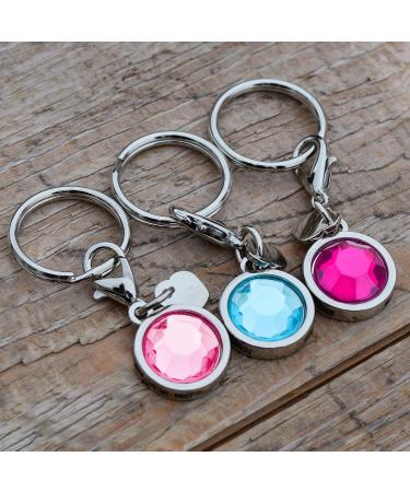 Buy Soulhorse Bridle Trenser & Lucky Charm Keychain for Horses - Turquoise Charm with Artificial Stone - Perfect for Trailer & Pony - Buy Online on GoSupps.com