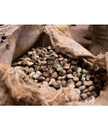 Organic Fairtrade Cashews with Rosemary & Thyme (500g) | Roasted in Freiburg | Premium Fair Trade Cashews from Burkina Faso - Buy Online on GoSupps.com