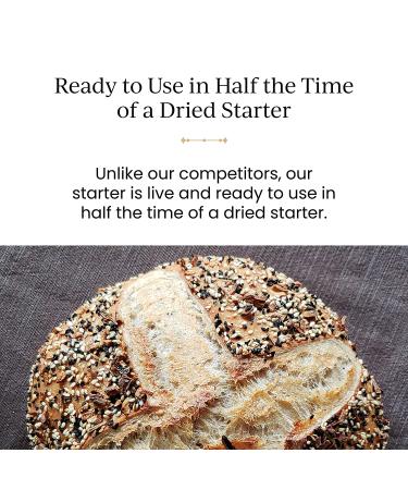 Breadtopia Sourdough Starter Live | Non-GMO  Heirloom  & Organic | Our Sour Dough Starter is Active & Ready to Go | Sourdough Starters for Home Made Bread Sourdough | Easy to Use Bread Starter Culture - Buy Online on GoSupps.com