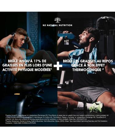 Capsules for Weight Loss | 100% Natural with Green Tea Guarana L-Carnitine and Green Coffee | Stimulates Thermogenesis | Vegan Certified | Made in the EU | N2 Natural Nutrition - Buy Online on GoSupps.com