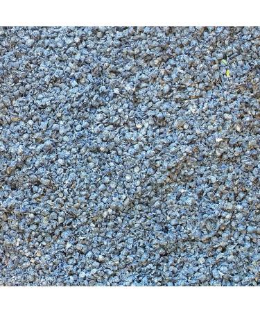 Living World 61267 Fresh 'N Comfy Bedding 50L (3050-Cubic Inch) Blue 50 l (Pack of 1) Bedding Blue - Buy Online on GoSupps.com