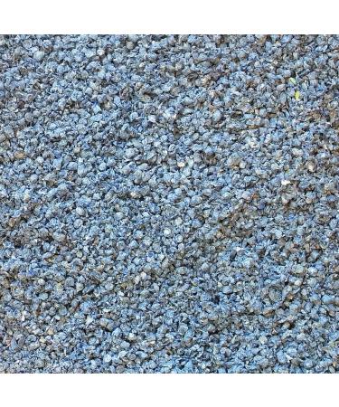 Living World Fresh 'N Comfy Bedding (3050-Cubic Inch) + Small Animal Donuts (4.2 oz) Bundle 50 l (Pack of 1) Bedding + Animal Donuts Blue - Buy Online on GoSupps.com