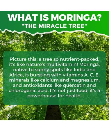 EnvyCure 2 Pack Moringa Spirulina Gummies Organic with 1 Pack Black Seed Oil Gummies - Buy Online on GoSupps.com