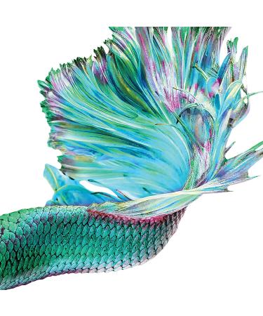 Hallu Mermaid Sea Salt Citrus Body Scrub with Shea Butter - 6 oz (Pack of 2) - Buy Online on GoSupps.com