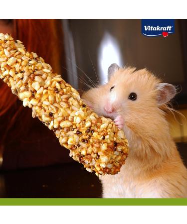 Vitakraft Crackers & Snack Sticks for Dwarf Rabbits | Vegetable & Beetroot Treats (2 pcs) - International Shipping Available - Buy Online on GoSupps.com