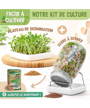 ZenGreens - Organic sprouted seeds in Nutri-Mix Kit - Sprouted seeds - 10 varieties of healthy sprouted seeds - easy to grow in pots or terrines - Microgreens Samen Mix - Pack of 10 - Buy Online on GoSupps.com