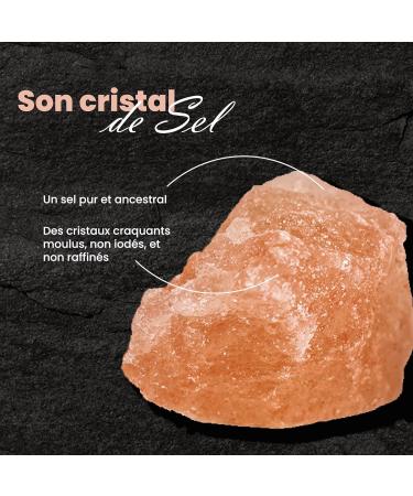  Comptoirs et Compagnies COMPTOIRS ET COMPAGNIES - Fine Himalayan Pink Salt - Non-Iodized and Unrefined - 500g - Buy Online on GoSupps.com