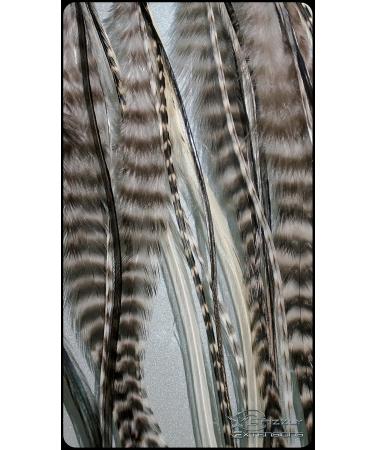Buy Pack of 5 Black and White Feather Extensions for Black Hair | Unique Hair Accessories | Fast International Shipping - Buy Online on GoSupps.com