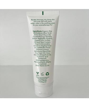 Glow Village Renew Gentle Facial Cleanser with Botanical Hyaluronic Acid | Vegan Organic | Deep Cleansing Blemish-Fighting | For Sensitive and Combination Skin| Fragrance Free | 4 oz - Buy Online on GoSupps.com