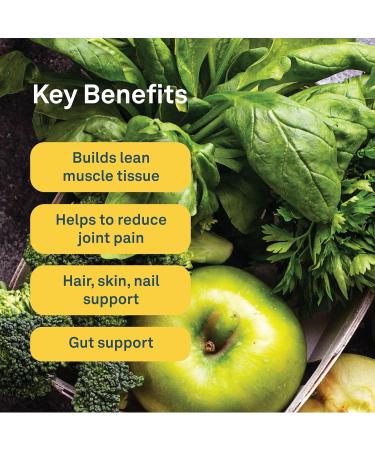 Organika Enhanced Collagen Protein Power Greens - with 16 organic fruits and vegetables & Electrolytes + Enhanced Collagen- Wildberry Flavour- Sugar-Free Hydration + Protein 360 gram - 30 Servings Nutritional Supplement+ Wildberry Flavour - Buy Online on GoSupps.com