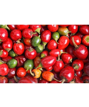 Cento Whole Hot Cherry Peppers - 16 fl oz (Pack of 3) with IntFeast Bamboo Kitchen Tong - Buy Online on GoSupps.com