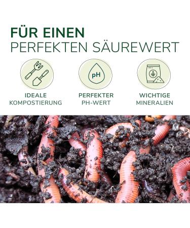 Natural Thing Anti-Acid Lime Mix 2 kg | Effective Acid Regulator for Worm Farms & Composters - Buy Online on GoSupps.com