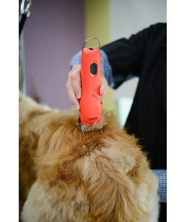 Wahl Professional Animal KM Cordless 2-Speed Clipper Kit for Pet, Dog, and Horse - Poppy - Buy Online on GoSupps.com