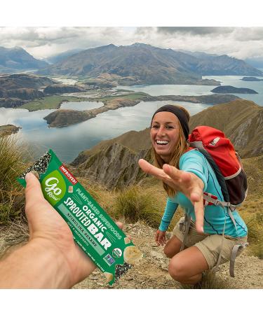 Go Raw Spirulina Sesame Seed Bars - Keto, Gluten-Free, Vegan, Organic, Paleo (10 Pack) - Buy Online on GoSupps.com