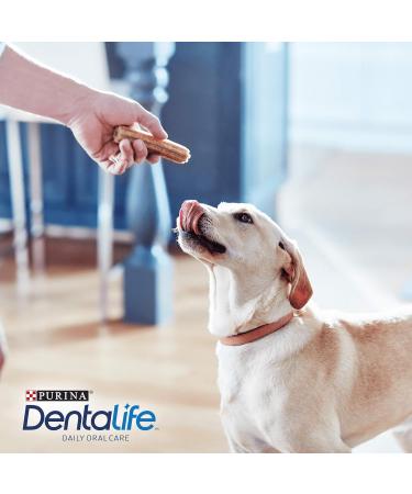 DENTALIFE Large Dog Treat Dental Chew 36 Stick Pack of 2 - Buy Online on GoSupps.com