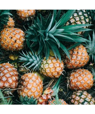 Mathieu Teisseire Pineapple Syrup for drinks cocktails with or without alcohol beers teas milkshakes shakes 70cl bottle - Buy Online on GoSupps.com